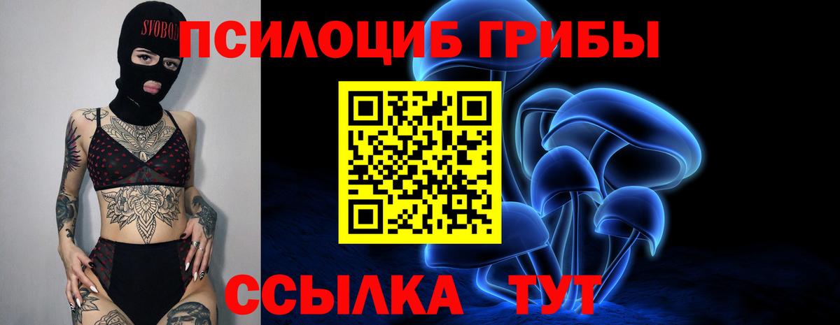 Галлюциногенные грибы мицелий  Вход с VPN  Мыски  Псилоцибиновые грибы Psilocybine cubensis 